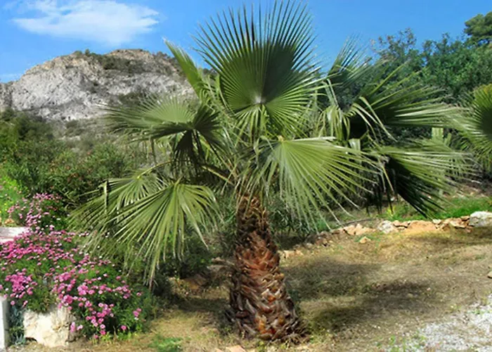 Cortijo La Venta Country house Nerja