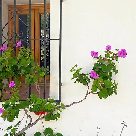 Cortijo La Venta *